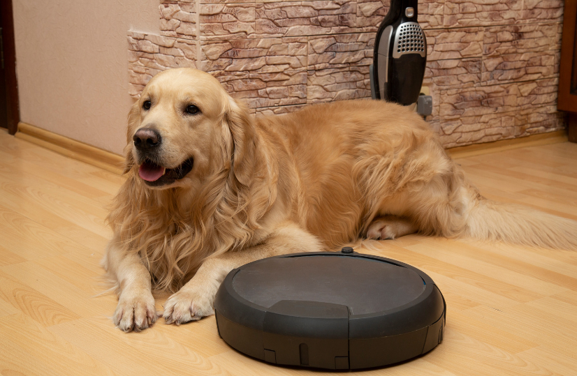 Робот-пылесос Робот-пылесос